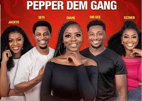   The 2019 Big Brother Naija Reality Show: A Crucible for Aspirations and Unveiling Complex Social Dynamics